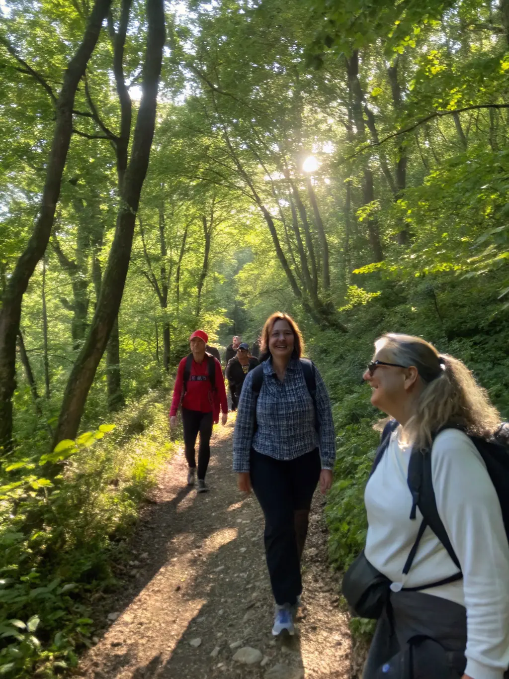 A group of diverse hikers enjoying a guided trail walk through a lush forest, sunlight filtering through the trees, showcasing RANDO'BIHEN's commitment to accessible outdoor activities.